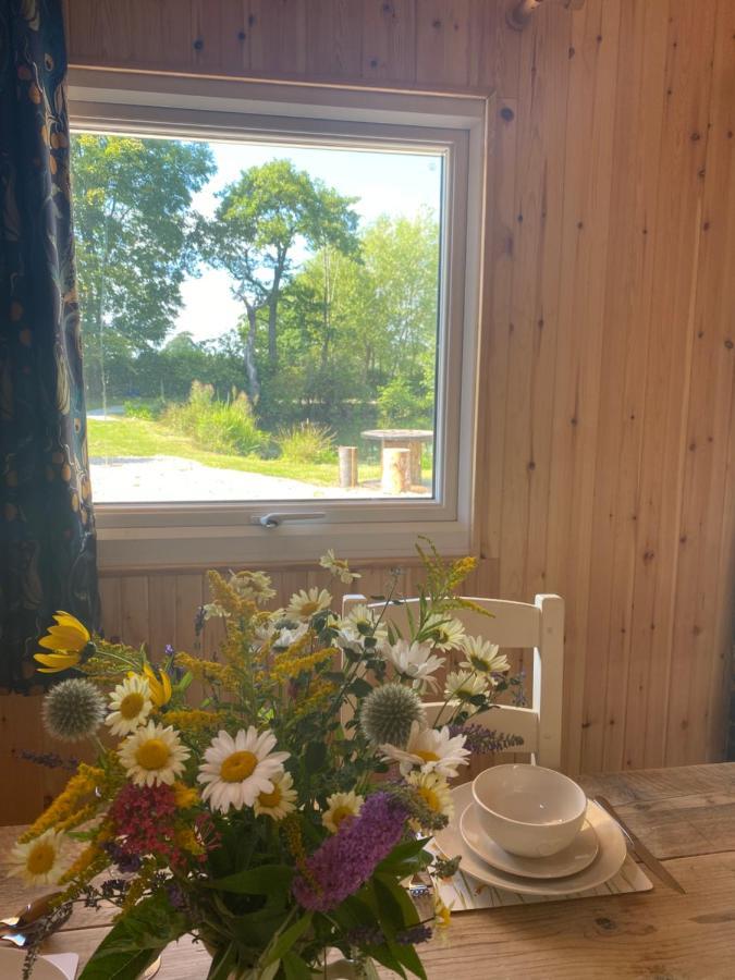 Kingfisher Cabin - Wild Escapes Wrenbury Off Grid Glamping - Ages 12 And Over Baddiley Eksteriør billede
