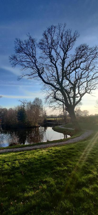 Kingfisher Cabin - Wild Escapes Wrenbury Off Grid Glamping - Ages 12 And Over Baddiley Eksteriør billede